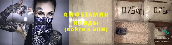 шишки Майский