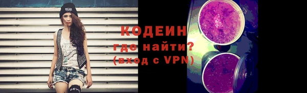 шишки Майский