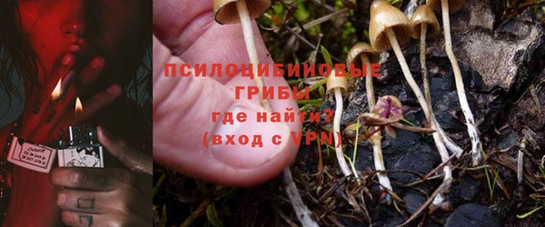 шишки Майский