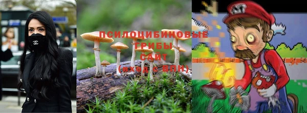мдпв Магадан