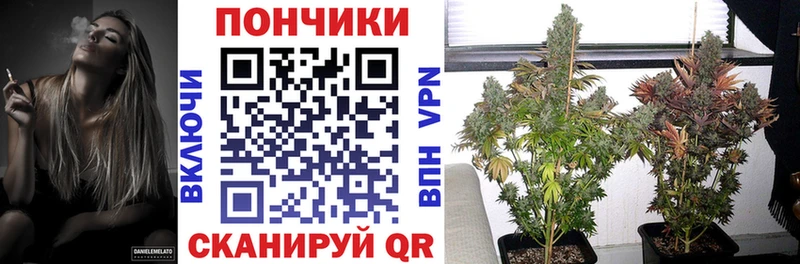 Купить закладки  Новосиль  Бошки марихуана тримм 